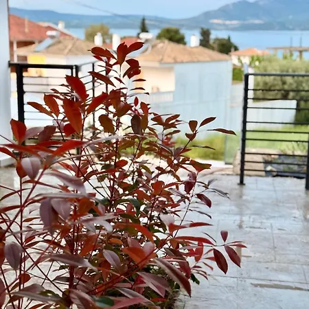 Kalma Lux * Νικιάνα
